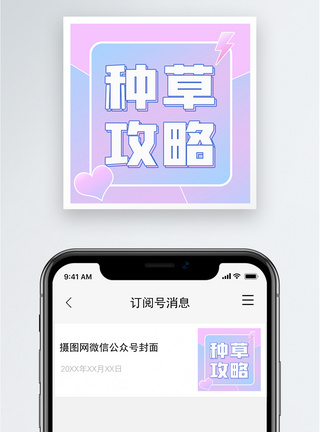 种草攻略公众号小图图片
