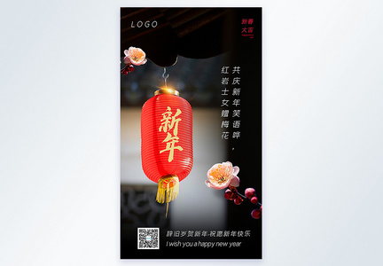 新年春节摄影图海报图片