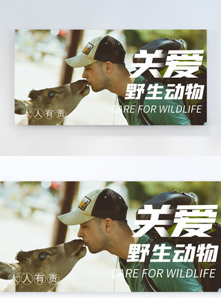 关爱野生动物宣传摄影图海报图片