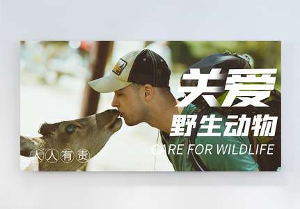 关爱野生动物宣传摄影图海报图片