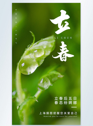 清新萌芽立春节气摄影图海报图片