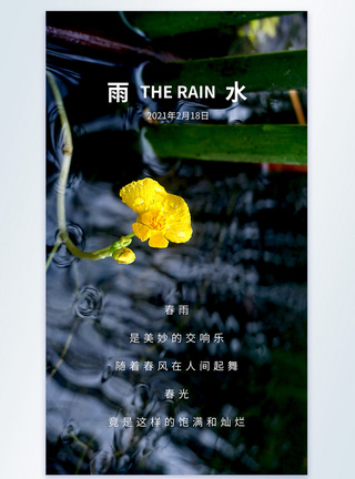 唯美雨水节气摄影图海报图片