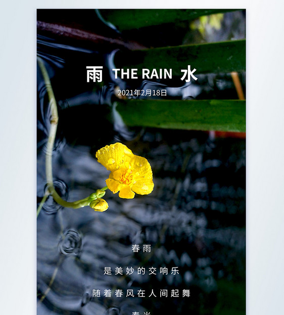 唯美雨水节气摄影图海报图片