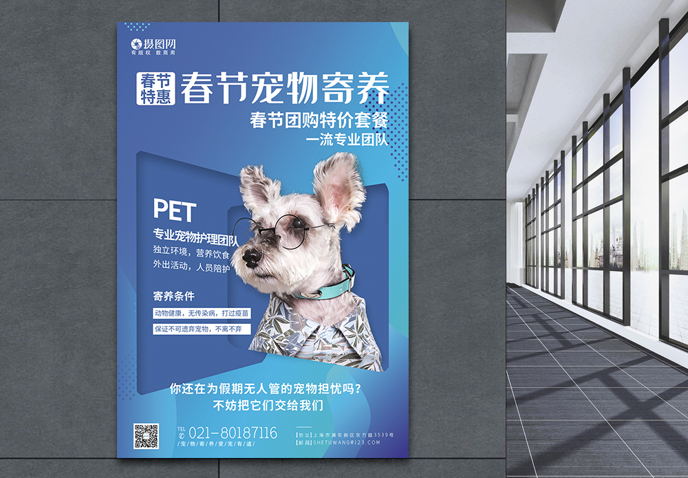 狗狗春节宠物寄养促销团购海报模板