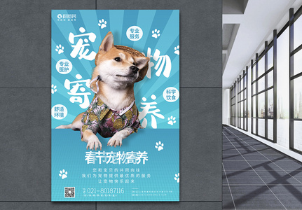 春节宠物寄养团购海报图片