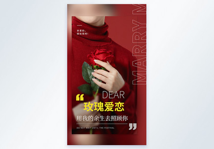 简约清新文艺情人节玫瑰摄影图海报图片