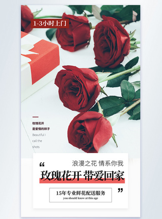 简约清新文艺玫瑰摄影图海报图片