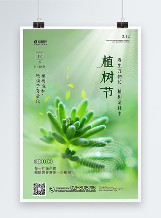 清新简约植树节海报图片