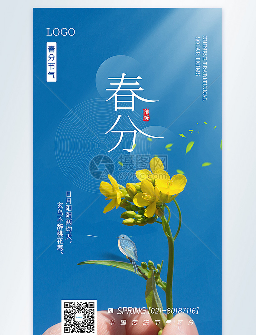 春分节气摄影图海报