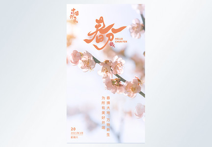 清新春分节气摄影图海报图片