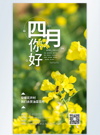 油菜花开油菜花摄影图海报模板