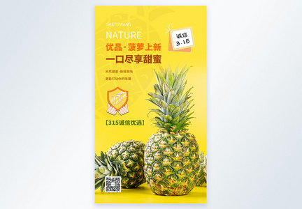 简约创意诚信315品质生鲜摄影图海报图片