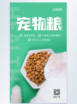 宠物粮食宣传摄影图海报图片