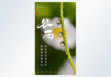 清新谷雨节气摄影图海报图片