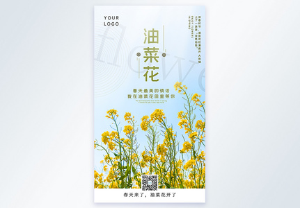 油菜花春季赏花摄影图海报图片