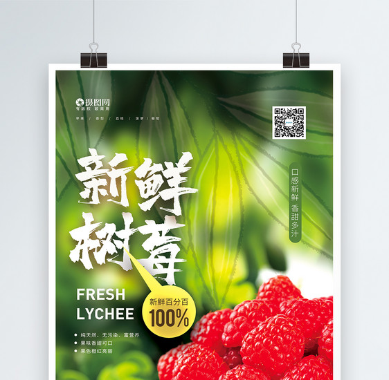 清新简洁树莓上新促销海报图片
