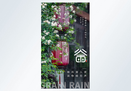 谷雨节气二十四节气摄影图海报图片