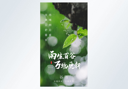 谷雨节气二十四节气摄影图海报高清图片