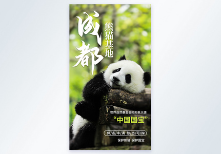 成都熊猫基地旅游摄影图海报高清图片
