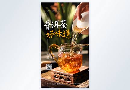 普洱茶摄影图海报图片