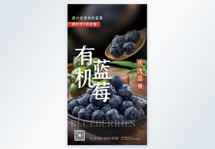 有机蓝莓水果摄影图海报图片