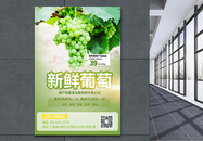 新鲜葡萄上市促销宣传海报图片