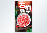 石榴水果新品上市促销摄影图海报图片