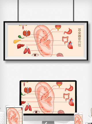 耳朵穴位器官科普医疗插画图片