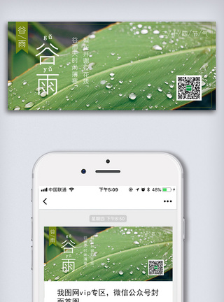 清新谷雨节气微信公众号头图配图图片