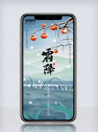清新中国风二十四节气霜降手机海报图片