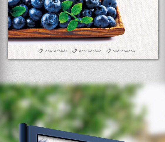 创意日式风格蓝莓水果户外海报图片