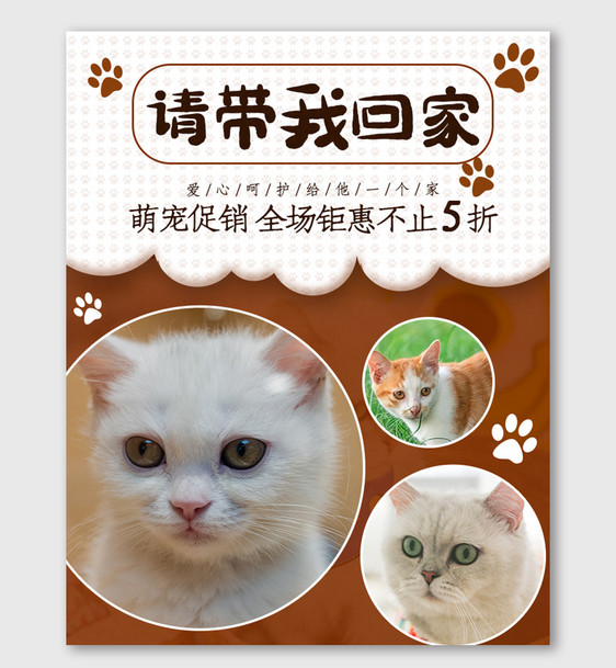 时尚萌宠海报电商拼图宠物猫咪促销banner图片