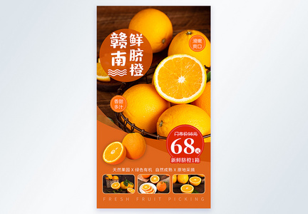 赣南脐橙水果摄影图海报图片