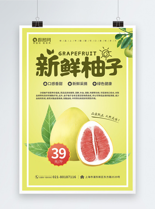 绿色新鲜柚子促销海报图片