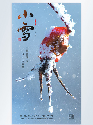 小雪节气中国传统节气摄影海报图片