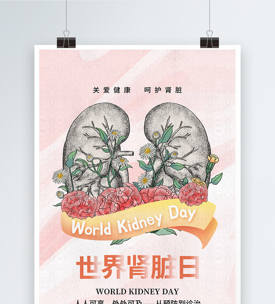 简约时尚世界肾脏日宣传海报图片