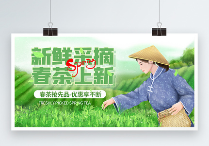 新鲜采摘春茶展板图片