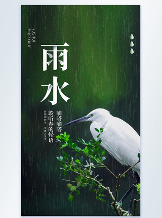 雨水节气摄影图海报图片