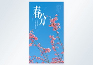 传统二十四节气春分摄影图海报图片