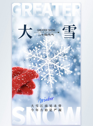 简约清新大雪节气摄影图海报图片