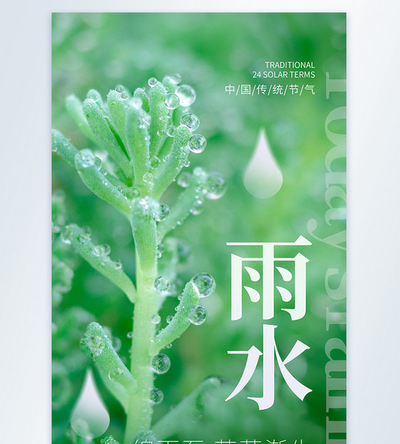 雨水节气摄影图海报图片