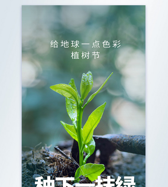 植树节摄影图海报图片