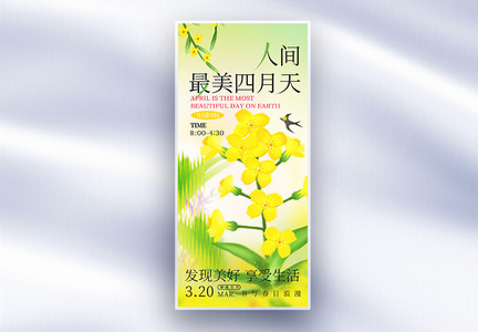 渐变弥撒风赏花油菜花长屏海报图片