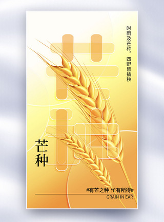 玻璃风简约创意芒种节气全屏海报图片