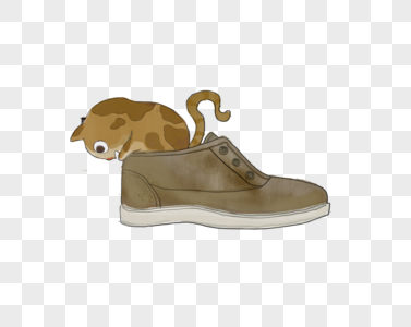 鞋子里的猫咪图片
