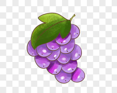 葡萄葡萄水果插画高清图片