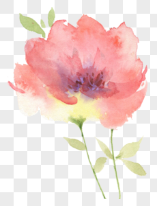 植物元素水彩花朵png高清图片