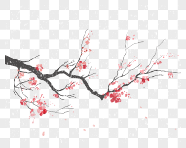 梅花干枯的树枝高清图片
