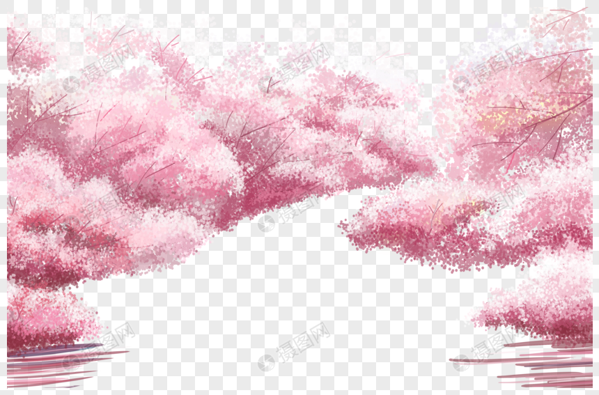 樱花树图片