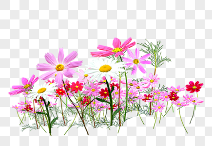 路边花丛手绘粉色小花高清图片
